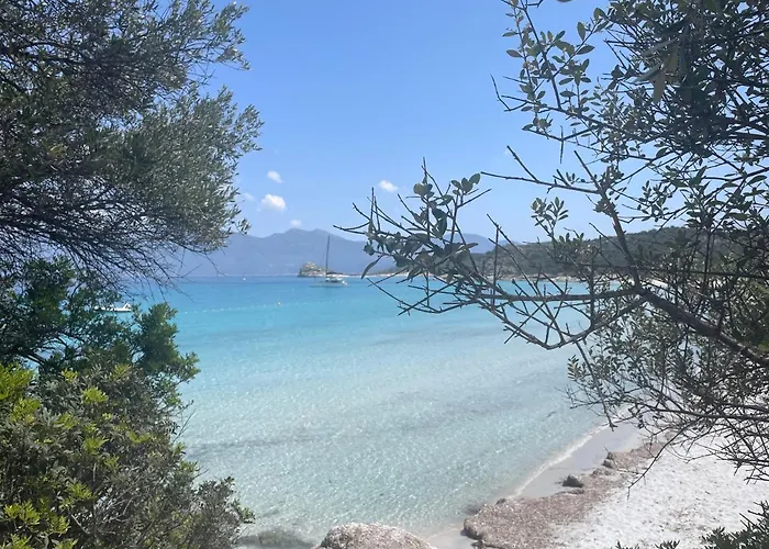 CASA POLI: Tiny loft avec terrasse et cabane *